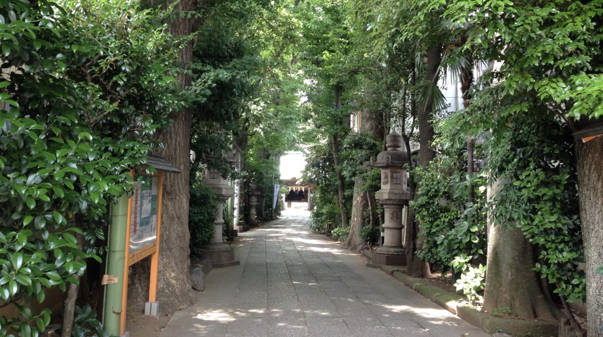 About Togoshi Hachiman Shrine.